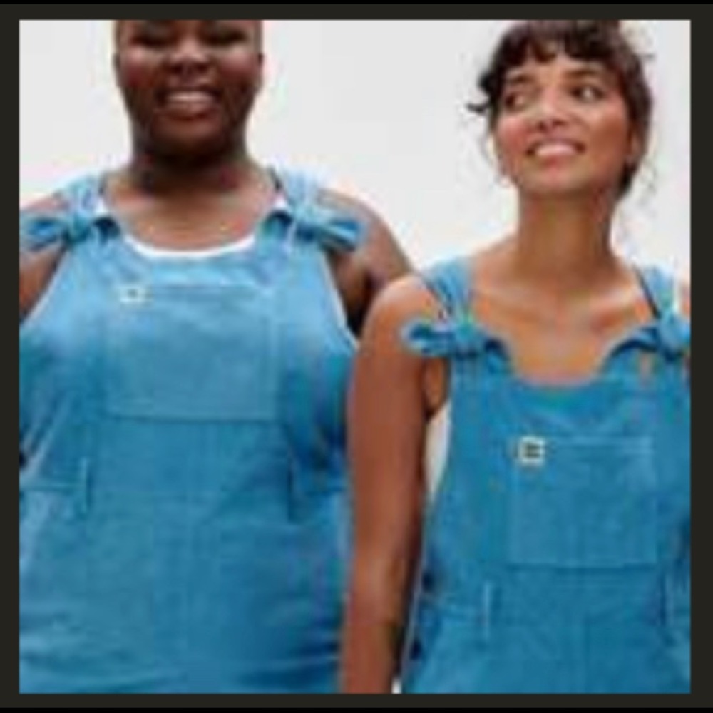⛔️ SOLD ⛔️ Lucy & Yak Coveralls Blue